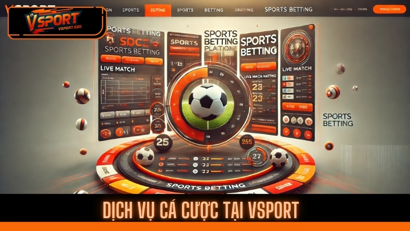 vsport ®️ nhà cái hàng đầu với trải nghiệm cá cược đỉnh cao🏆